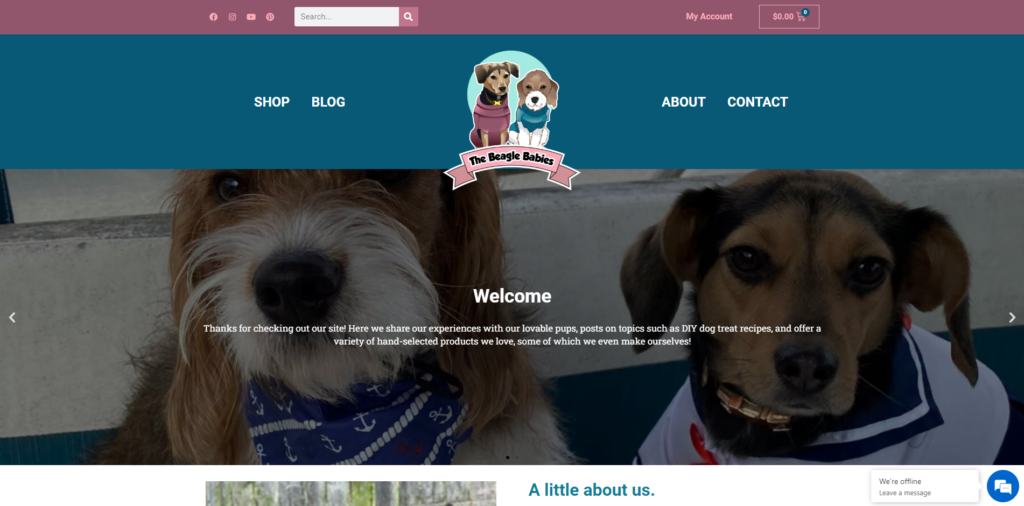 Media Tech Group Portfolio Website Design WordPress Elementor The Beagle Babies