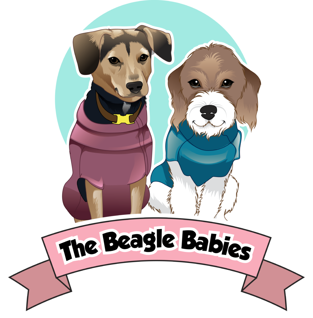 Media Technology Group LLC Branding Logo Design The Beagle Babies