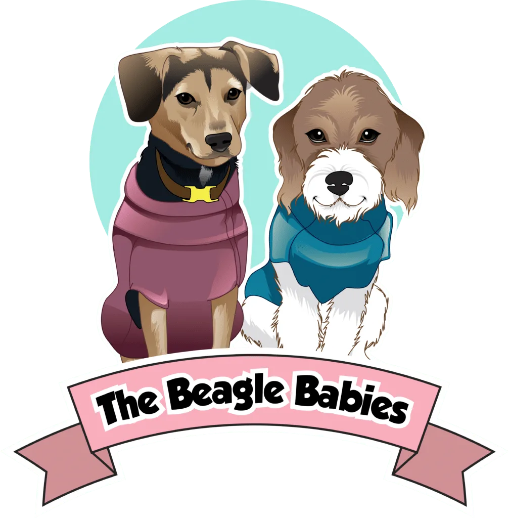 Media Technology Group LLC Branding Logo Design The Beagle Babies