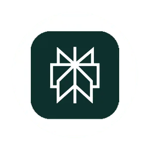 Media & Technology Group, LLC - Tools - Perplexity